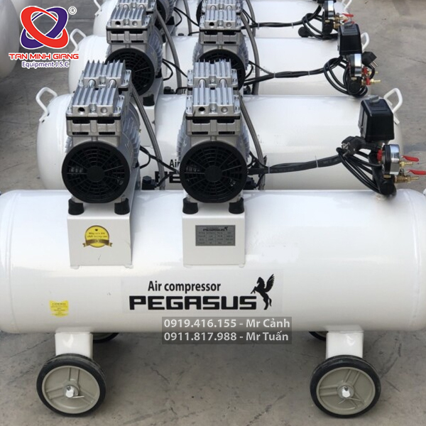 Máy nén khí không dầu Pegasus TM-OF750x3-120L